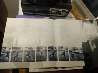 Sting, The Dream of the blue turtle