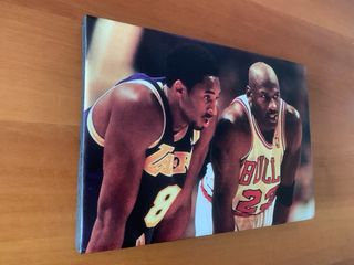 Quadro di Kobe e Mike