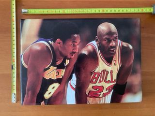 Quadro di Kobe e Mike