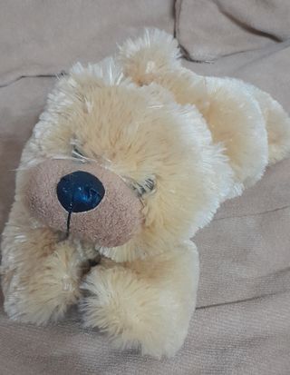 Peluche di cane