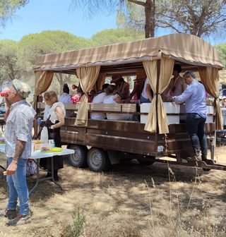Alquiler 4x4 con y sin jardinera.
