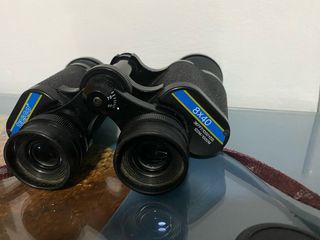 Plismaticos tasco