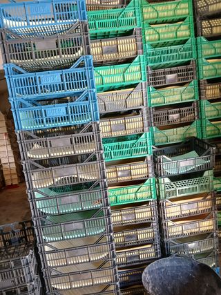 Cajas para fruta y verduras