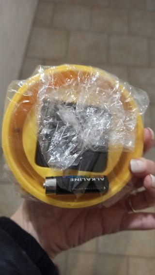 Sveglia Minions