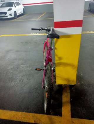 Bicicleta mujer