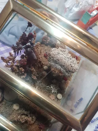 Mini invernadero decorativo