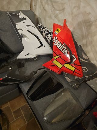 Aprilia rs 50 afilada gpr