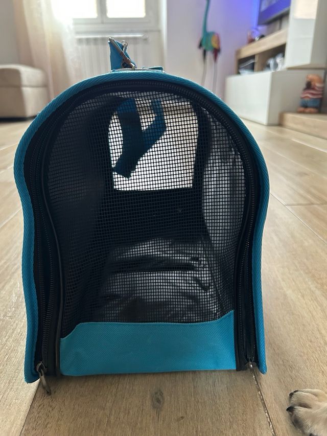 Trasportino cane