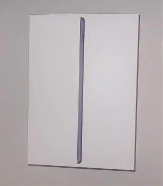 Ipad 9 Generacion 64 GB GRIS y PLATA - COMO NUEVO