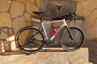 BASSO TERA - TALLA L