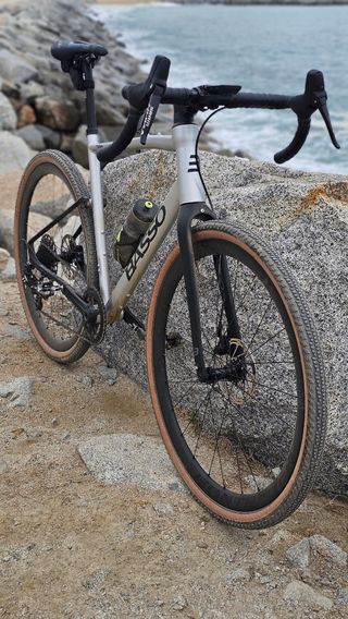 BASSO TERA - TALLA L