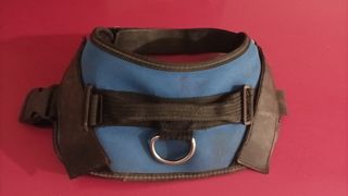 Arnés para perro talla L