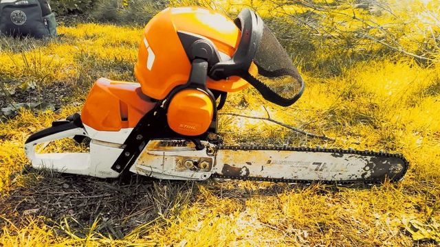 Corto Campos de Frutales 