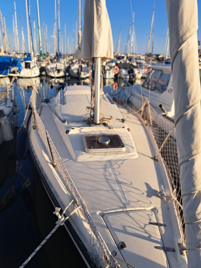 Velero 24 pies KELT 24