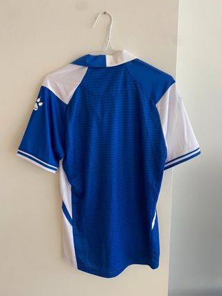 Camiseta del deportivo alavés