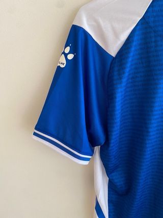 Camiseta del deportivo alavés