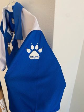 Camiseta del deportivo alavés