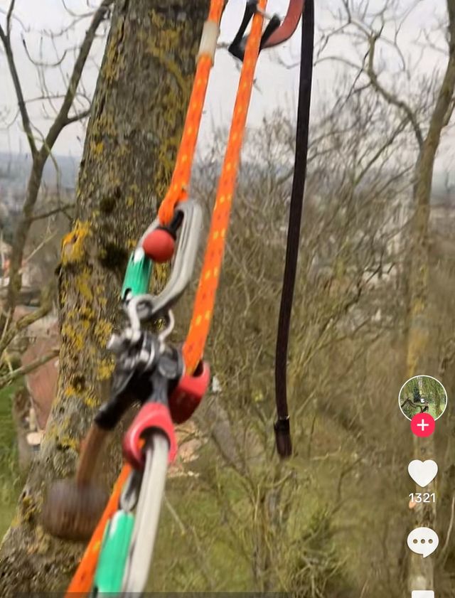 Descendedor  made Alemania