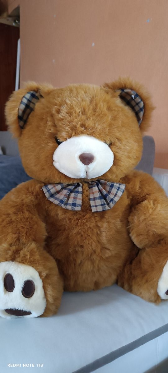 Orsacchiotto marrone 