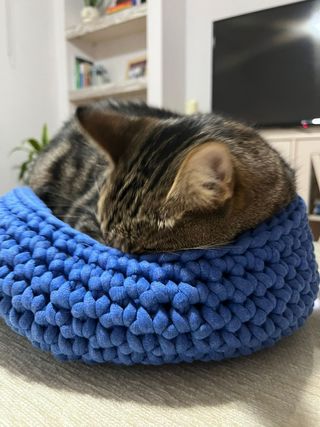 Camas gatos, perros,  mascotas