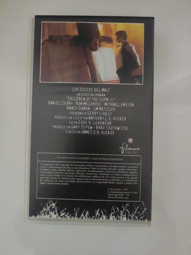 LOS CHICOS DEL MAIZ.