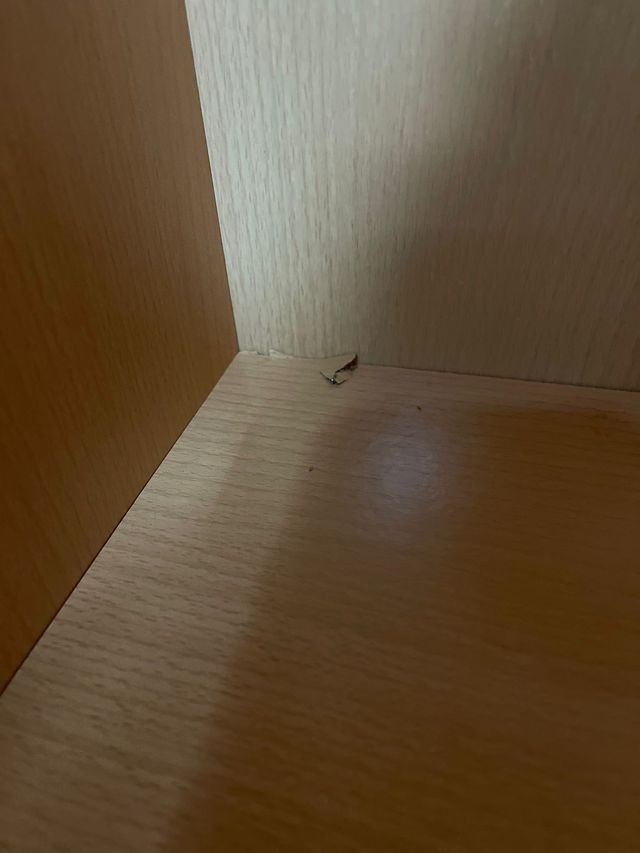 Armario Tres Puertas Madera