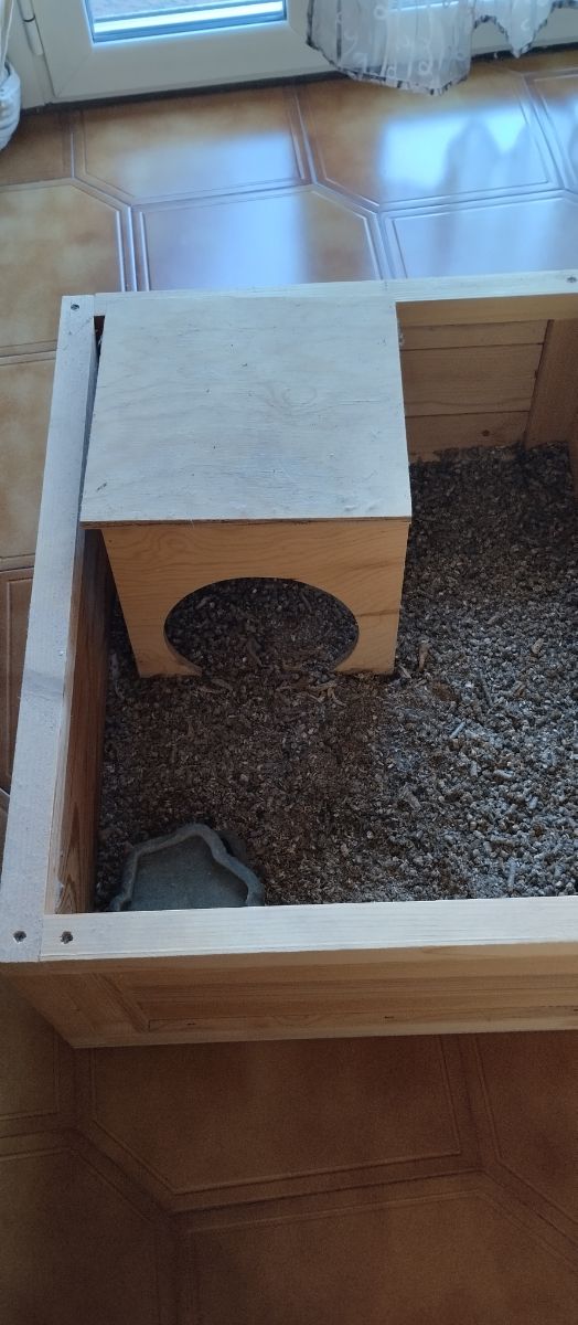 Casa para pequenas tartarugas ou animais p