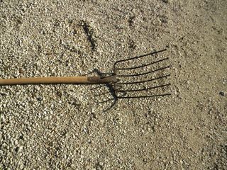 Forca da patate o barbabietola a 6 denti da cm 37