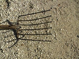 Forca da patate o barbabietola a 6 denti da cm 37