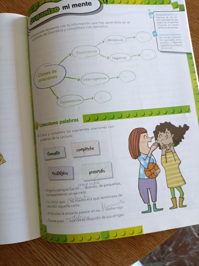 Lengua 4. (Incluye Taller de Lectura comprensiva)