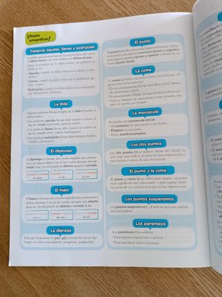 Lengua 4. (Incluye Taller de Lectura comprensiva)