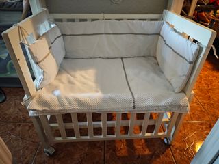 Minicuna Colecho Allegra


