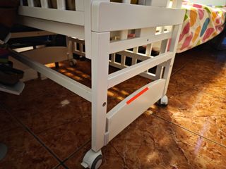 Minicuna Colecho Allegra

