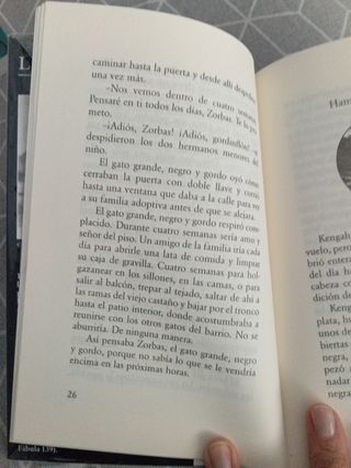 Historia de una gaviota y del gato que le enseno a volar (Coleccion Andanzas) (Spanish Edition)
