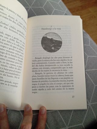 Historia de una gaviota y del gato que le enseno a volar (Coleccion Andanzas) (Spanish Edition)