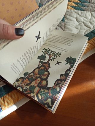 Peregrinatio (Spanish Edition)