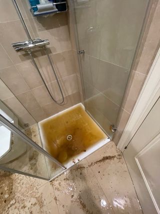 Manitas servicio 24 horas