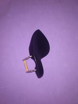 Violín 🎻 Josef Jan Dvorak Strunal 4/4