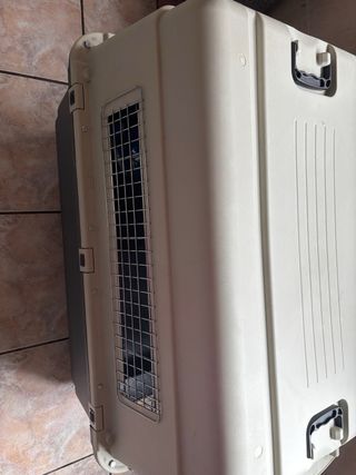 Transportin grande homologado