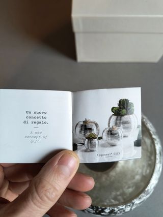 Vase brushed with silver