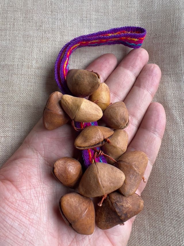 Sonaja semillas para muñeca o tobillo