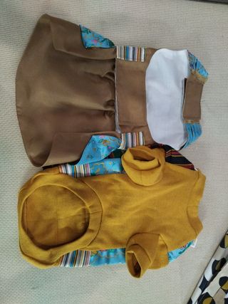 Traje perro de fallera.