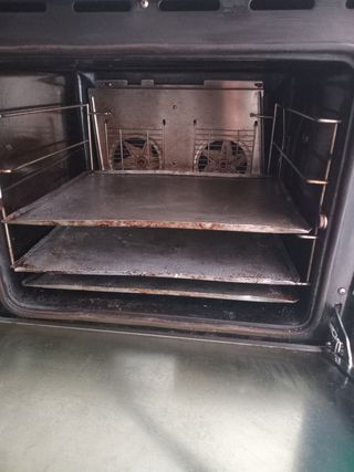 Horno para pan piza carne industrial