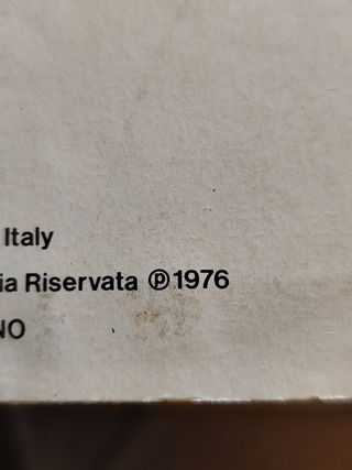 Vinile di Maria rosa