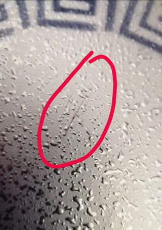 Piatto decorato in porcellana