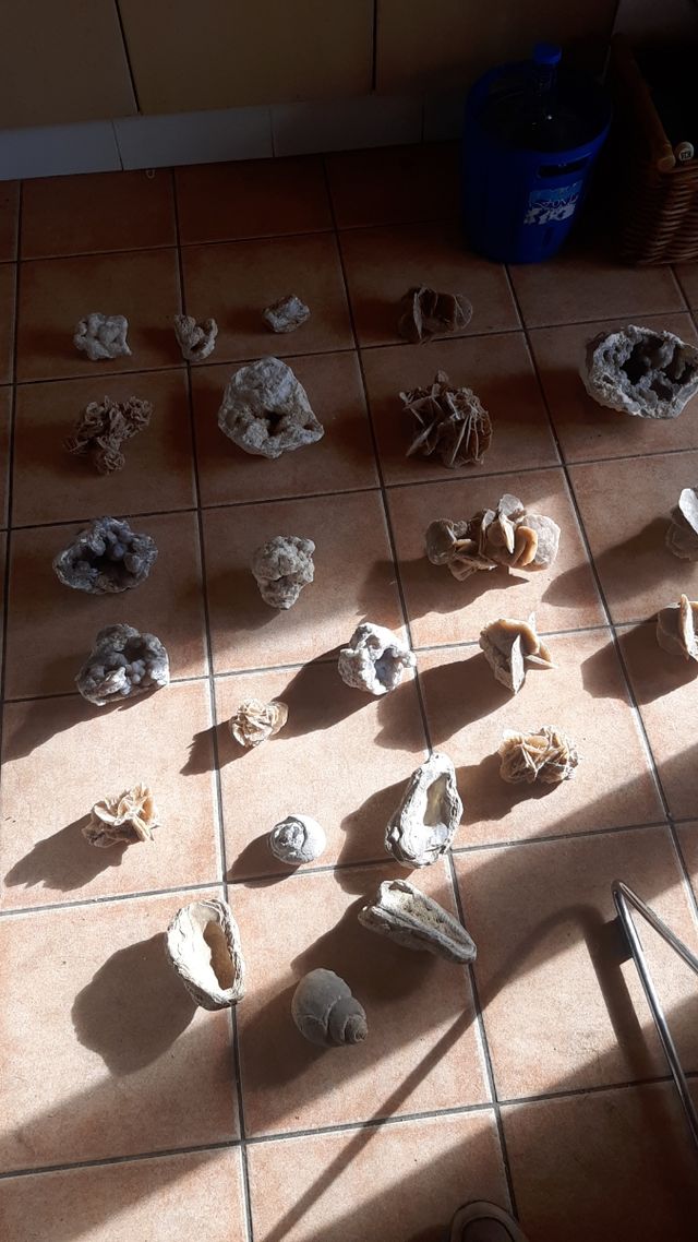 Piedra, fosil, Rosa del Desierto