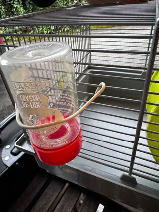 Jaula de Hamster ruso