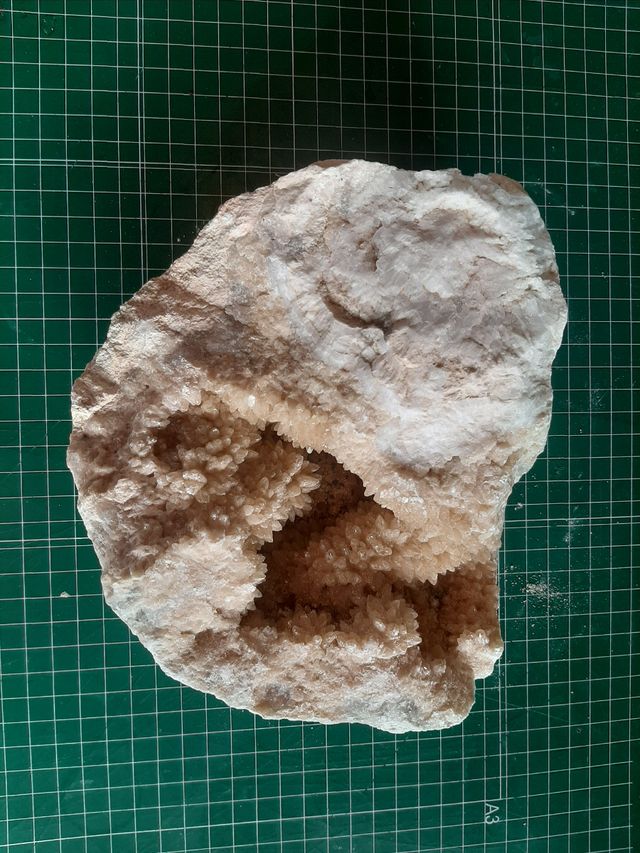 Piedra, cuarzo, fosil, rosa del desierto