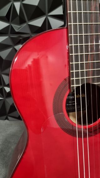 Guitarra Flamenca SM-21N palosanto