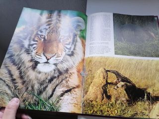 2 Libros animales